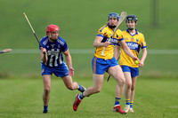 Tremane v St. Dominic's_0045