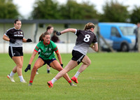 Éire Óg v St. Brigids_0124