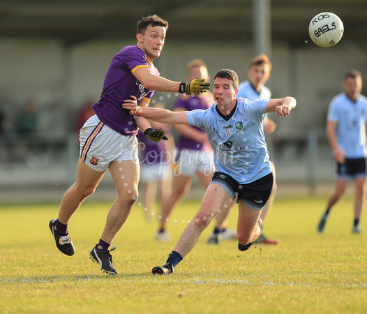 Western Gaels v Roscommon Gaels0131