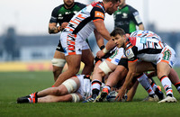 Connacht v Leicester Tigers0175