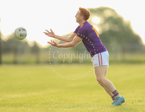 Western Gaels v Roscommon Gaels0033