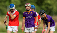 Roscommon Gaels v Padraig Pearses0007