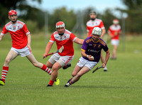 Roscommon Gaels v Padraig Pearses0103