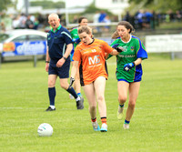 FEILE 20230028
