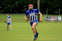 St. Dominic's v Pearses 0149