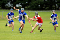 St. Dominic's v Pearses 0097