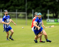 St. Dominic's v Pearses 0028