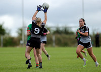 Éire Óg v St. Brigids_0094