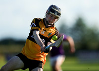 Roscommon Gaels v Four Roads_0088