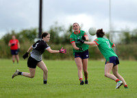 Éire Óg v St. Brigids_0086