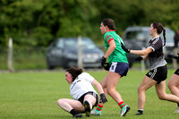 Éire Óg v St. Brigids_0081