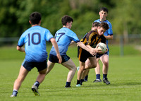 Western Gaels v Strokestown0071