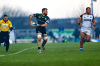 Connacht v Leicester Tigers0204