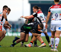 Connacht v Leicester Tigers0125