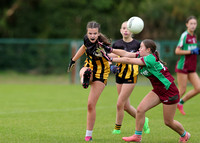 Strokestown v Castlerea St. Kevins_0041